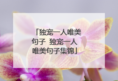 独宠一人唯美句子 独宠一人唯美句子集锦