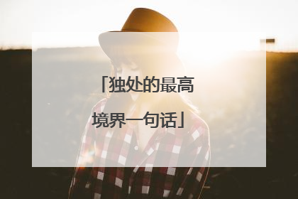 独处的最高境界一句话