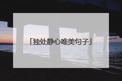 独处静心唯美句子