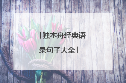 独木舟经典语录句子大全