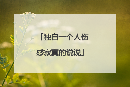 独自一个人伤感寂寞的说说