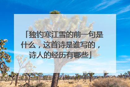 独钓寒江雪的前一句是什么,这首诗是谁写的,诗人的经历有哪些