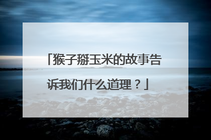猴子掰玉米的故事告诉我们什么道理？