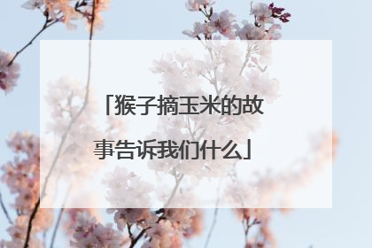 猴子摘玉米的故事告诉我们什么