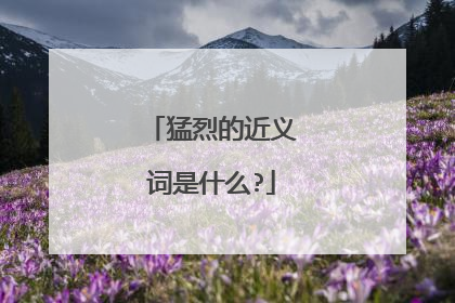 猛烈的近义词是什么?