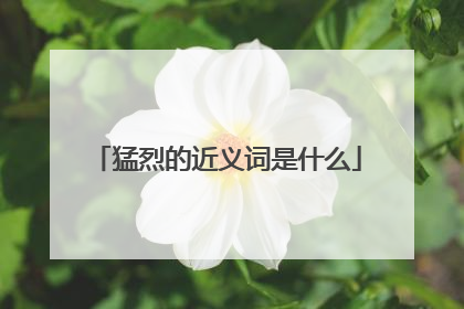 猛烈的近义词是什么