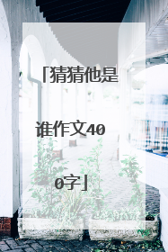 猜猜他是谁作文400字