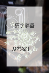 猜字谜语及答案