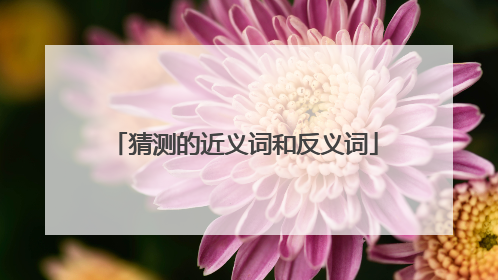 猜测的近义词和反义词