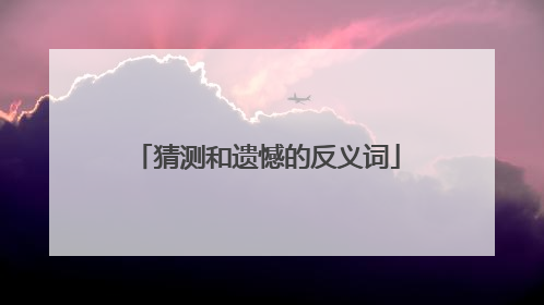 猜测和遗憾的反义词