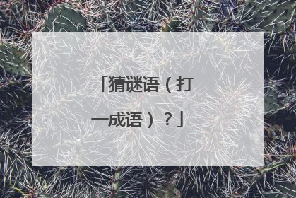 猜谜语（打一成语）？