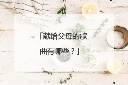 献给父母的歌曲有哪些?