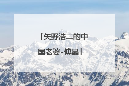 矢野浩二的中国老婆-傅晶