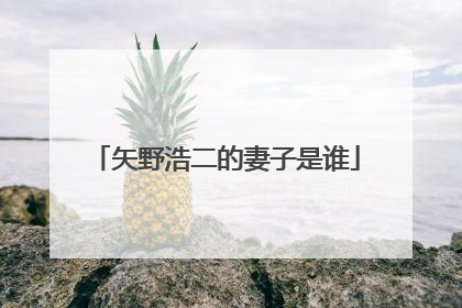 矢野浩二的妻子是谁