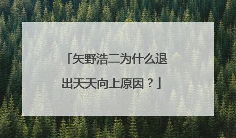 矢野浩二为什么退出天天向上原因?