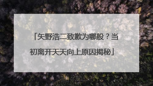 矢野浩二致歉为哪般?当初离开天天向上原因揭秘