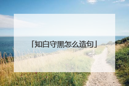 知白守黑怎么造句