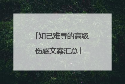 知己难寻的高级伤感文案汇总