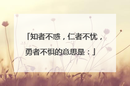 知者不惑，仁者不忧，勇者不惧的意思是：