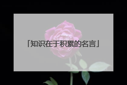 知识在于积累的名言