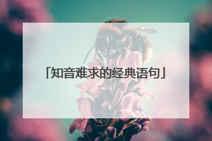 知音难求的经典语句