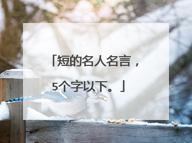 短的名人名言,5个字以下。