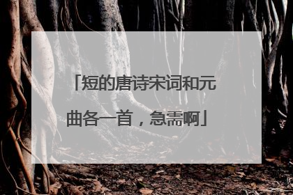 短的唐诗宋词和元曲各一首,急需啊