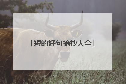 短的好句摘抄大全