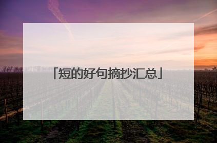 短的好句摘抄汇总