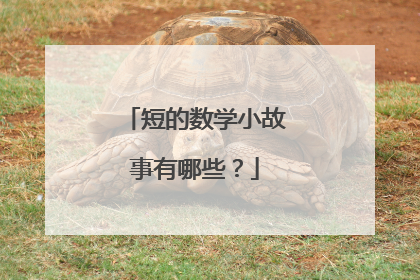 短的数学小故事有哪些?