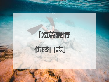 短篇爱情伤感日志