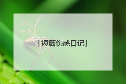 短篇伤感日记