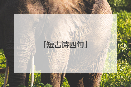 短古诗四句