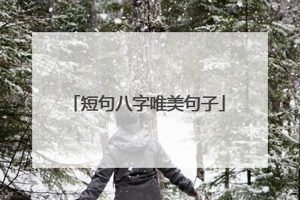 短句八字唯美句子