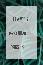 短句写给女朋友的情书