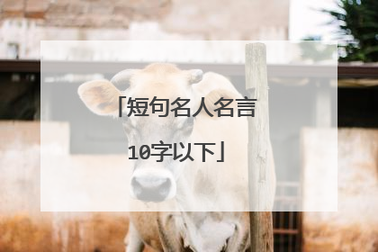短句名人名言10字以下