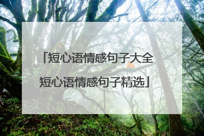 短心语情感句子大全 短心语情感句子精选