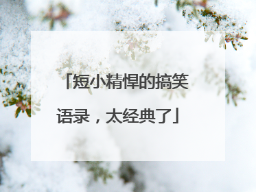 短小精悍的搞笑语录,太经典了