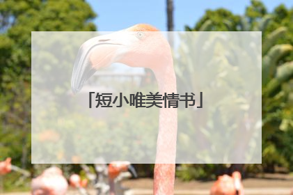 短小唯美情书