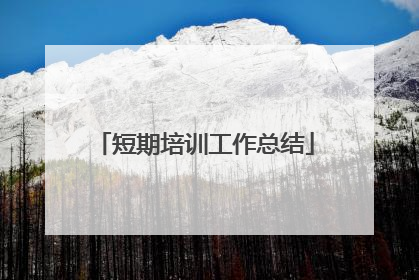 短期培训工作总结