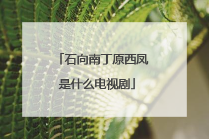 石向南丁原西凤是什么电视剧