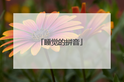 睡觉的拼音