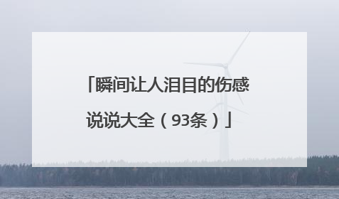 瞬间让人泪目的伤感说说大全(93条)