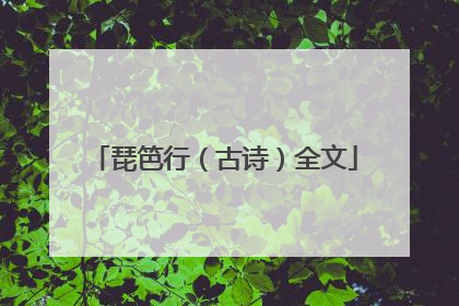琵笆行（古诗）全文