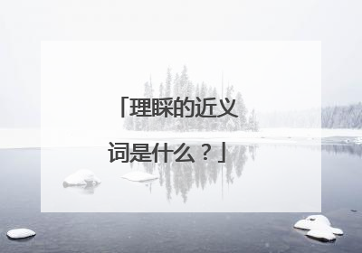 理睬的近义词是什么？