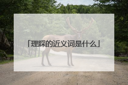 理睬的近义词是什么