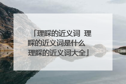 理睬的近义词 理睬的近义词是什么 理睬的近义词大全