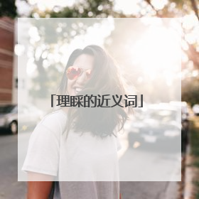 理睬的近义词