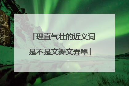 理直气壮的近义词是不是文舞文弄墨