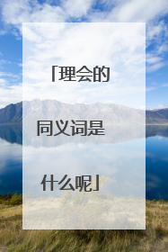 理会的同义词是什么呢